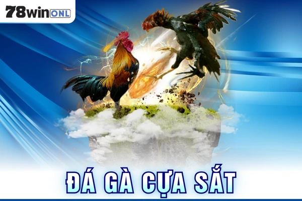 Đá Gà Cựa Sắt Tại 78win Thu Hút Người Chơi Dày Kinh Nghiệm