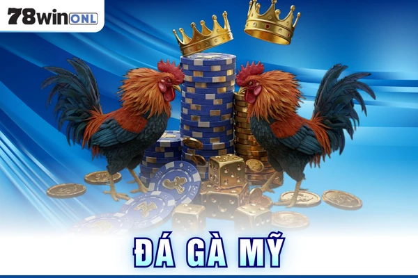 Đá Gà Mỹ Tại 78win Thu Hút Người Chơi Sành Sỏi Trải Nghiệm