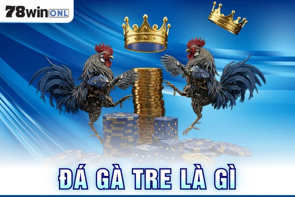 Đá Gà Tre Là Gì? Trải Nghiệm Đá Gà Tre Online Tại 78Win